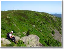 Randonne au Mont Sainte Odile