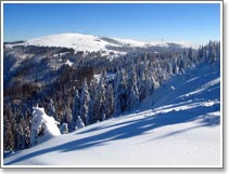 Raquette  neige vers la Fort Noire