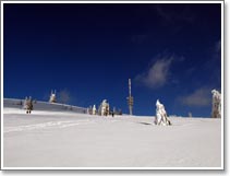 Raquette  neige vers la Fort Noire