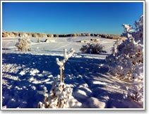 Week-ends raquette  neige sur mesure