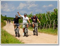 VTT autour du Haut Koenigsbourg