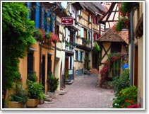 Randonnes Alsace et Vosges